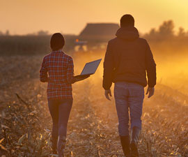 Agribusiness